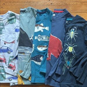 Bundle of 5 Tea Collection longsleeve tees